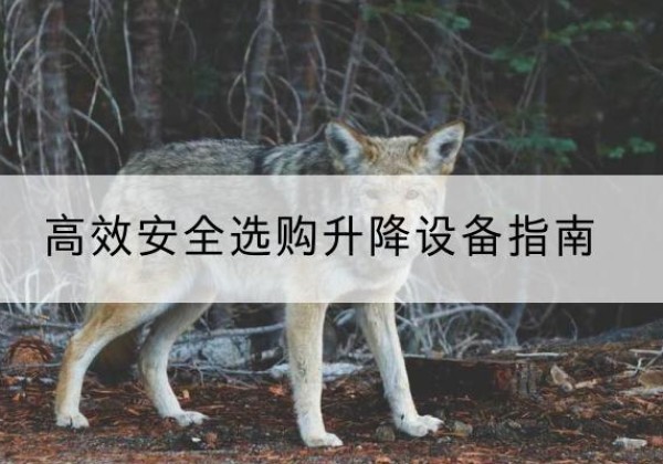 玉林升降货梯厂家推荐-*安全选购升降设备指南
