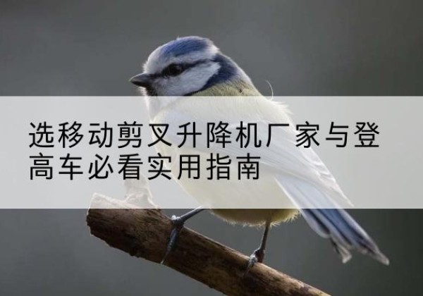 玉林电动升降机厂家-选移动剪叉升降机厂家与登高车必看实用指南